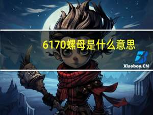 6170螺母是什么意思（6170螺母）