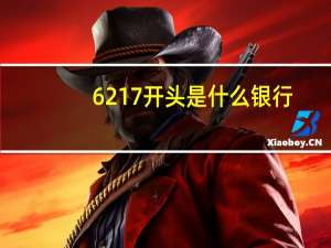 6217开头是什么银行