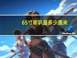 65寸喇叭是多少厘米