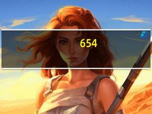 654-2片（6542片）