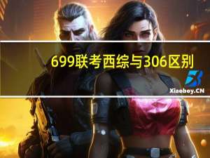 699联考西综与306区别