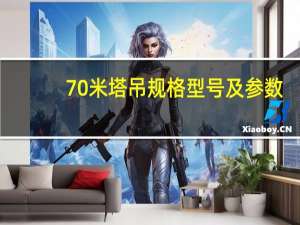 70米塔吊规格型号及参数
