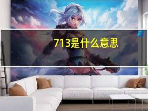 713是什么意思