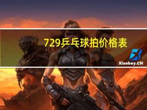 729乒乓球拍价格表