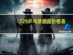 729乒乓球胶皮价格表