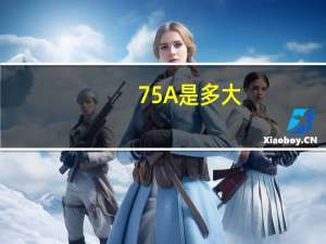 75A是多大