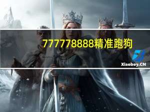 777778888精准跑狗_智能AI深度解析_好看视频版v32.31.853