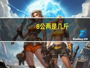 8公两是几斤