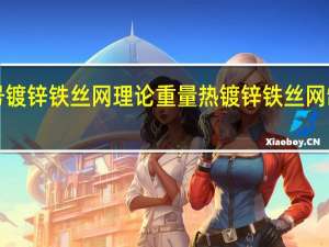 8号镀锌铁丝网理论重量 热镀锌铁丝网制造厂家