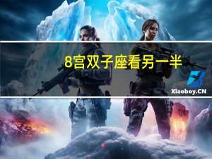 8宫双子座看另一半
