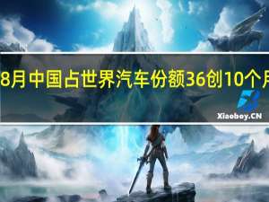 8月中国占世界汽车份额36% 创10个月新高
