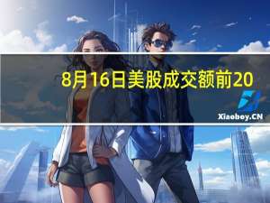8月16日美股成交额前20：特斯拉中国市场3天2次降价