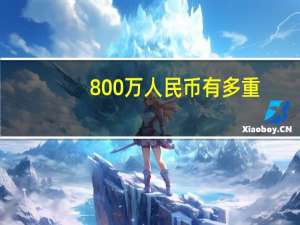800万人民币有多重