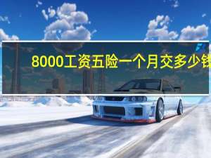 8000工资五险一个月交多少钱