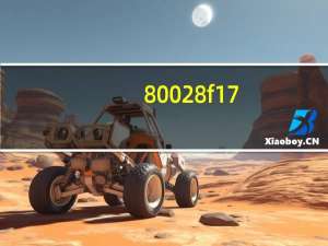 80028f17（80072f78）