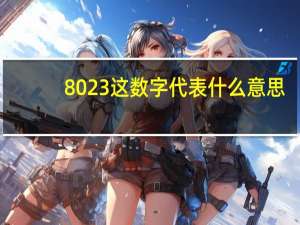 8023这数字代表什么意思