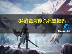 84消毒液能杀死蟑螂吗