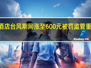 87元一晚酒店台风期间涨至600元被罚 监管重拳出击维稳市场