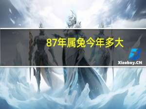 87年属兔今年多大