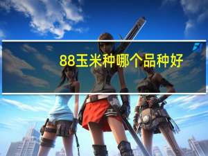 88玉米种哪个品种好