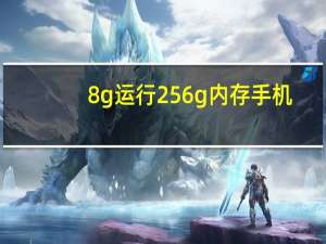 8g运行256g内存手机（8g运行内存手机推荐）