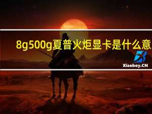 8g 500g夏普火炬显卡是什么意思？