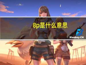 8p是什么意思
