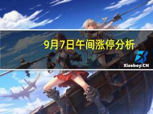 9月7日午间涨停分析