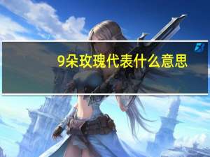 9朵玫瑰代表什么意思