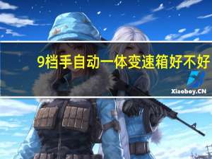 9档手自动一体变速箱好不好（变速箱9档手自一体是什么意思）