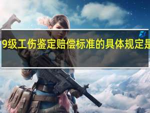 9级工伤鉴定赔偿标准的具体规定是什么
