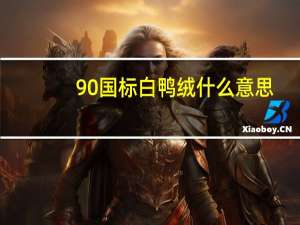 90国标白鸭绒什么意思