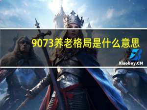 9073养老格局是什么意思