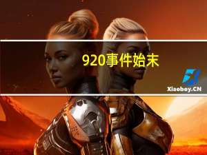 920事件始末（920sh）