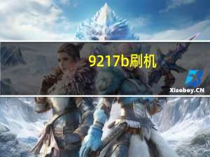 9217b刷机（i9220刷机教程）