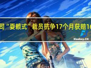 95后男子遭公司“耍赖式”裁员抗争17个月获赔16万9 到底什么情况呢