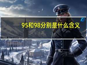 95和98分别是什么含义