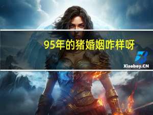 95年的猪婚姻咋样呀