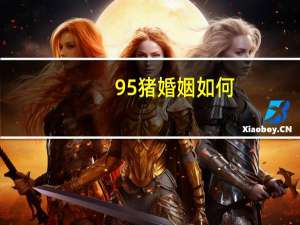 95猪婚姻如何