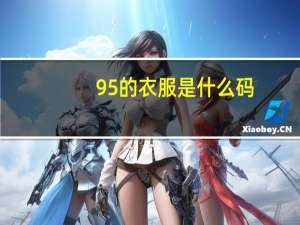 95的衣服是什么码