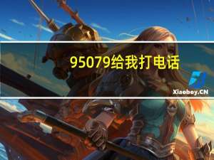 95079给我打电话（95079）