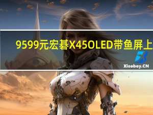 9599元 宏碁X45 OLED带鱼屏上架：240Hz高刷+1000nit峰值亮度