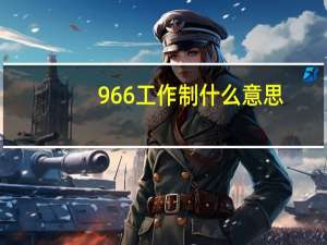 966工作制什么意思
