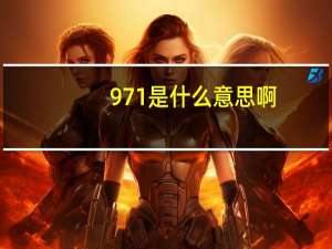 971是什么意思啊