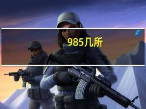 985几所