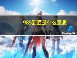 985到底是什么意思