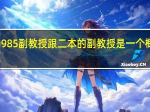 985 副教授跟二本的副教授是一个概念吗