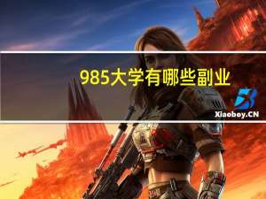 985大学有哪些副业