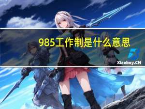 985工作制是什么意思