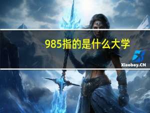 985指的是什么大学